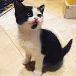 Connie Sandoval - @connie.sandoval.73594 - Instagram