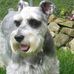 Connie Sayers-Davich - Facebook