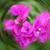 Connie Scarbrough - Facebook