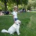 Connie Schaefer - Facebook