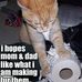 Connie Schaefers - Facebook