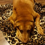 Connie Goeller Schumann - Facebook