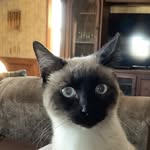 Connie Seifert - @seicotwo - Instagram