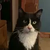 Connie Seifert - @connieseifert - TikTok