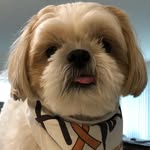 Lucky - @connieserna4 - Instagram