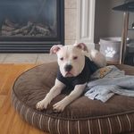 Connie Simpson - @connie.simpson.50 - Instagram
