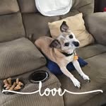 Connie Sims - @connie_1155 - Instagram