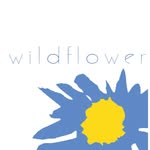 Connie Sims - Boutique Owner & Image Consultant - @wildflower__boutique - Instagram