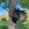 Connor Sitzman - @connorsitzman1 - TikTok