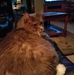 Connie Slone - Facebook