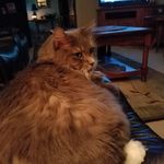 Connie Slone - @cslone999 - Instagram