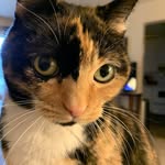 Connie Speer Schmitt - @cschmitt1016 - Instagram
