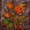 Connie Sprayberry Proctor - @connie.sprayberry - TikTok