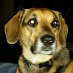 Connie Staker - @conniestaker10 - Instagram