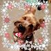 Connie Straker - Facebook