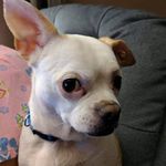 Connie Staley - @staley9279 - Instagram