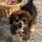 Connie Staley - Facebook