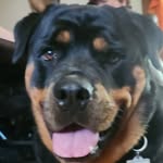 Connie Wallis Stanton - @cstanton701yahoocom - Instagram