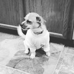 connie - @conniestclairr - Instagram