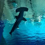 Steffensen Connie - @steffensen.connie - Instagram