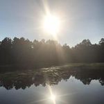Connie Steinberger - @conniesteinberger - Instagram