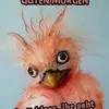 Conny Steiner - @conny.steiner - TikTok