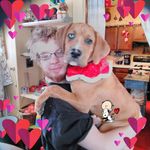 Kristie Conner Steinman - @sledgecake - Instagram