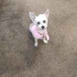 Connie Stephan Fitler - @spagirlnj - Instagram