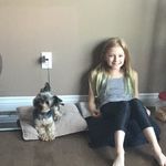 Connie & Stephen - @conniestephennorman - Instagram