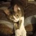 Connie Stephen - Facebook