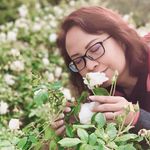 Connie Stephen - @connie.stephen - Instagram