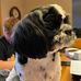 Connie Stille - Facebook