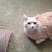 Connie Stocker - Facebook