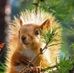 Connie Stocker - Facebook