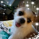 Connie Stogsdill - @cjs111348 - Instagram