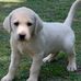 Coenie Stoltz - Facebook