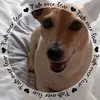 Coenie Stoltz - @coenie.stoltz4 - TikTok