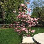 Connie Drennon Stover - @drennonstover - Instagram