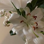 Connie Stover - @selders616 - Instagram