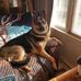 Connie Prochazka Strack - Facebook