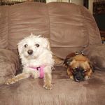 Connie Stratton Gauthier - @conniegauthier88 - Instagram