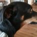 Connie Stricklin - Facebook