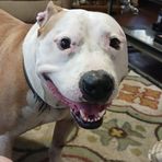 Connie Stringer - Facebook