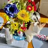 connieheinsstrong - @connieheinsstrong - TikTok