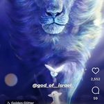Connie Sutton - @conniesutton - Instagram