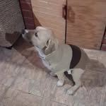Connie A.T🐾 - @connie_taborga - Instagram