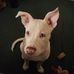 Connie Talbert - Facebook