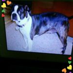 Connie Teel - @connie.teel.10 - Instagram