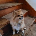 Connie Teel - @cjteel06 - Instagram
