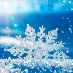 Connie Terwilliger- Besecker - Facebook